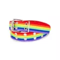 Rainbow Pride Double Prong Belt at Spencer's