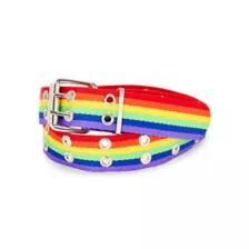 Rainbow Pride Double Prong Belt at Spencer's