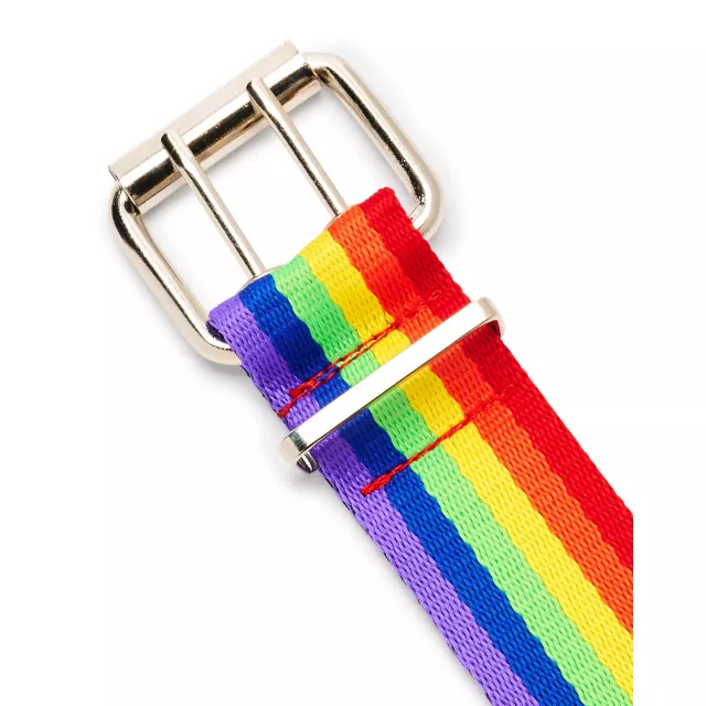 Rainbow Pride Double Prong Belt at Spencer's