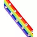 Rainbow Pride Double Prong Belt at Spencer's