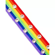 Rainbow Pride Double Prong Belt at Spencer's