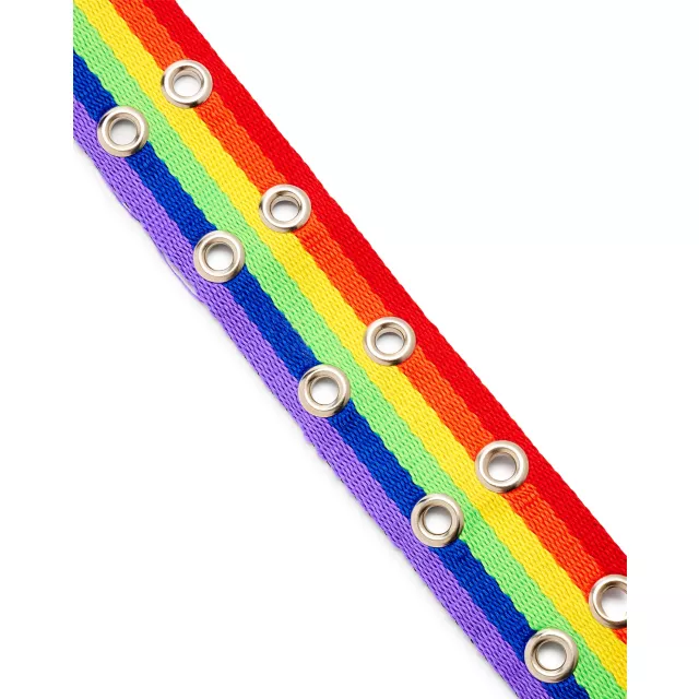 Rainbow Pride Double Prong Belt at Spencer's