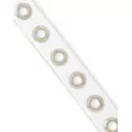 Clear Large Eyelet Belt at Spencer's