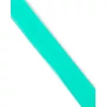 Teal Frosted Belt at Spencer's