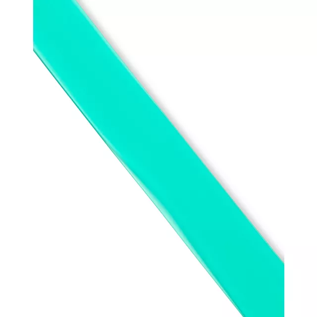 Teal Frosted Belt at Spencer's