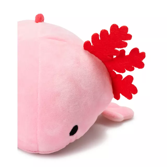 Axolotl Plush Toy at Spencer's