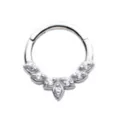 CZ Silvertone Leaf Hinged Septum Ring at Spencer's