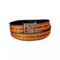 Playboy Kanji Belt at Spencer's
