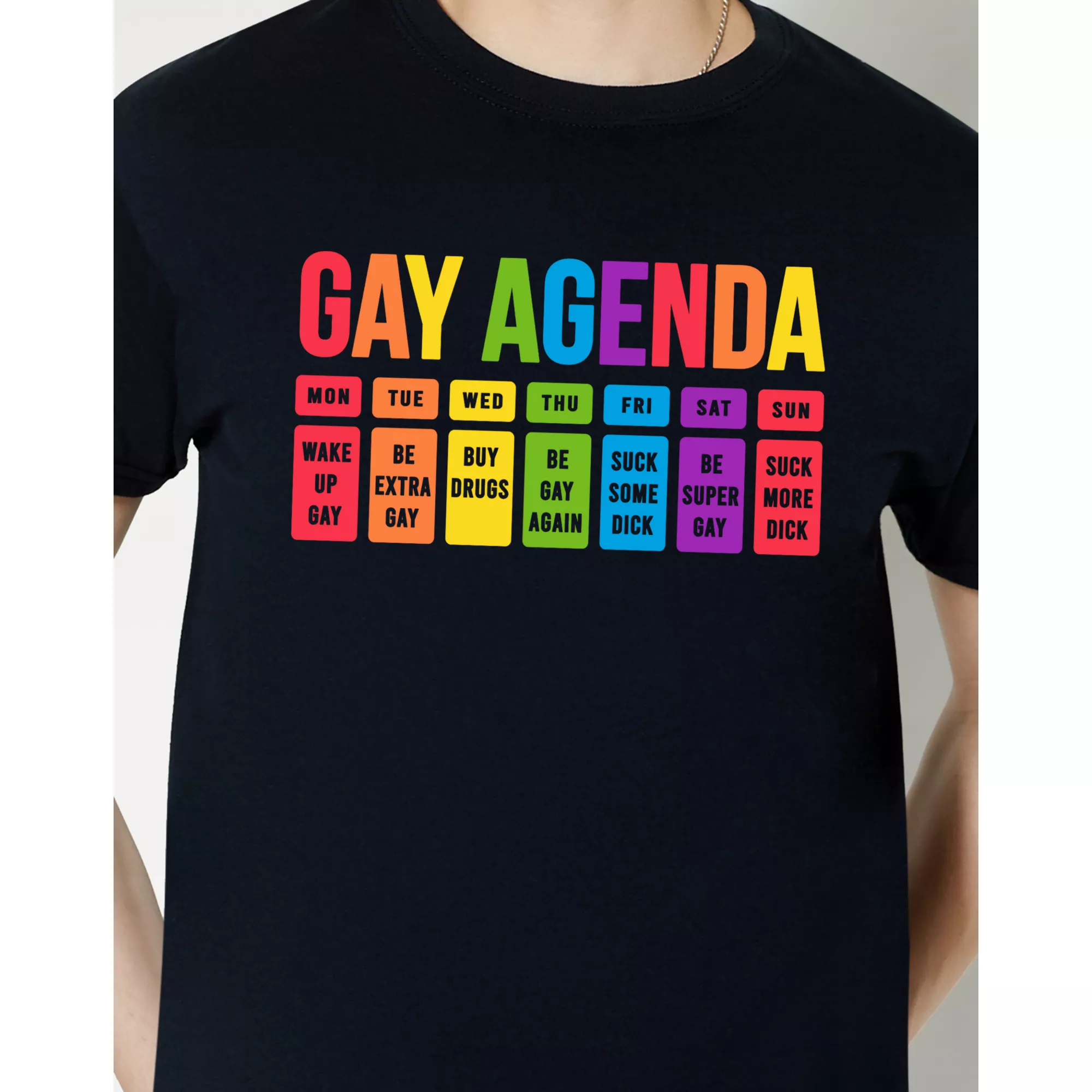 Gay Agenda Pride T Shirt at Spencer's