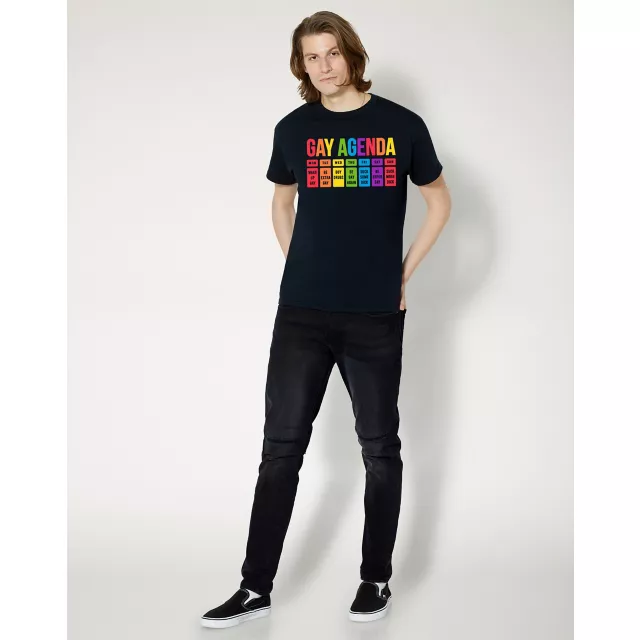 Gay Agenda Pride T Shirt at Spencer's