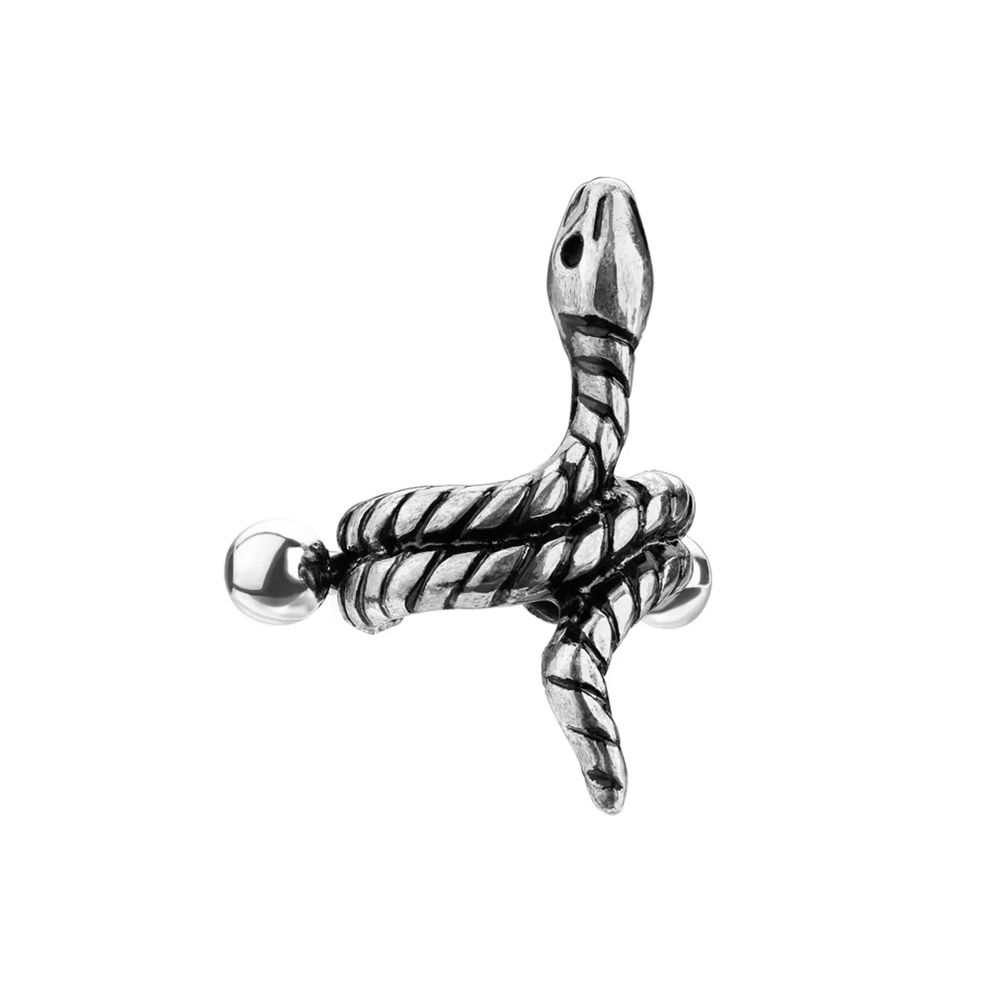 Snake Cartilage Earring at Spencer's