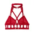Strappy Red Mesh Bralette at Spencer's