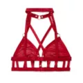 Strappy Red Mesh Bralette at Spencer's