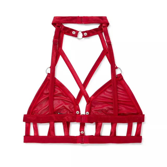 Strappy Red Mesh Bralette at Spencer's