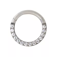 Titanium CZ Hinged Hoop Ring at Spencer's