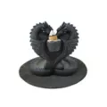 Dragon Heart Incense Burner at Spencer's