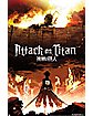 Attack on Titan Fire Poster