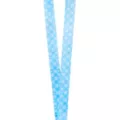 Kirby Lanyard at Spencer's