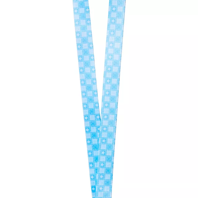 Kirby Lanyard at Spencer's