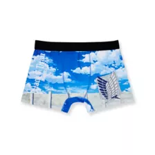 Attack on Titan Boxer Briefs at Spencer's