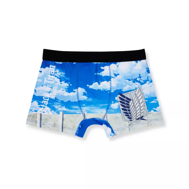Attack on Titan Boxer Briefs at Spencer's