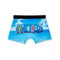 Nami and Robin Boxers - One Piece at Spencer's