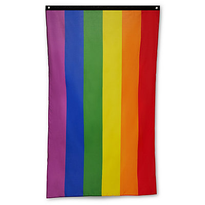 Transgender Pride Flag Banner - Spencer's