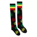 Weed Leaf Striped Knee High Socks at Spencer's