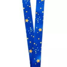 Sun and Moon Phases Lanyard at Spencer's