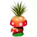 Molded Mushroom Planter at Spencer's
