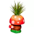 Molded Mushroom Planter at Spencer's
