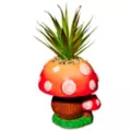Molded Mushroom Planter at Spencer's