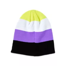Nonbinary Pride Beanie Hat at Spencer's