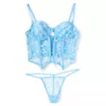 Daisy Printed Cropped Bustier and Thong Panties Set at Spencer's