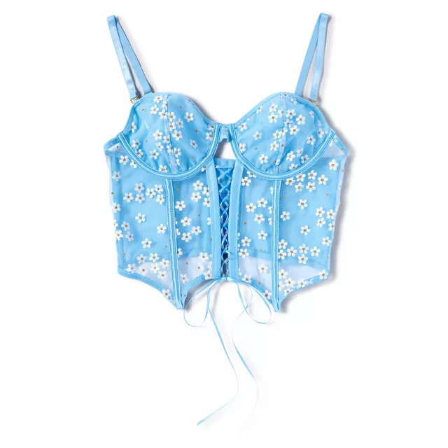 Daisy Printed Cropped Bustier and Thong Panties Set at Spencer's