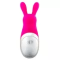 Very Bunny 10-Function Rechargeable Vibrator 4 Inch - Hott Love at Spencer's