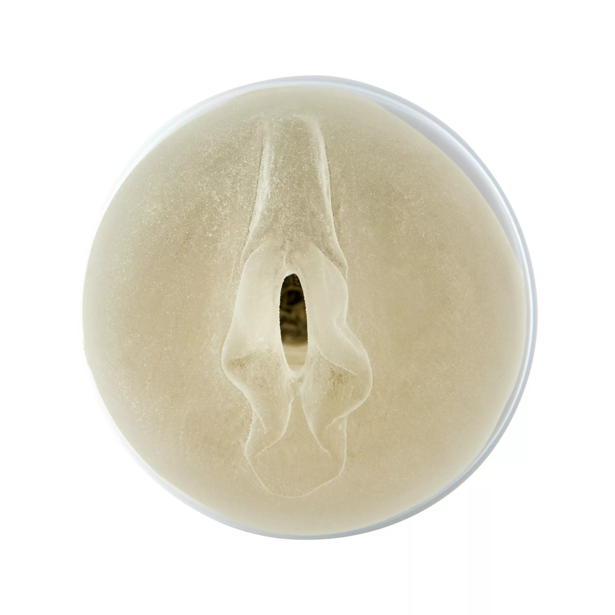 Slick N' Slide 2.0 Waterproof Vibrating Stroker - Arouz'd at Spencer's