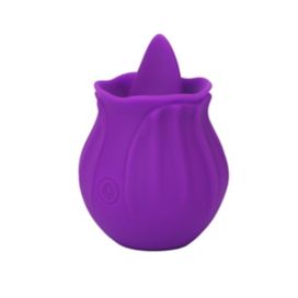 Rechargeable Vibrators