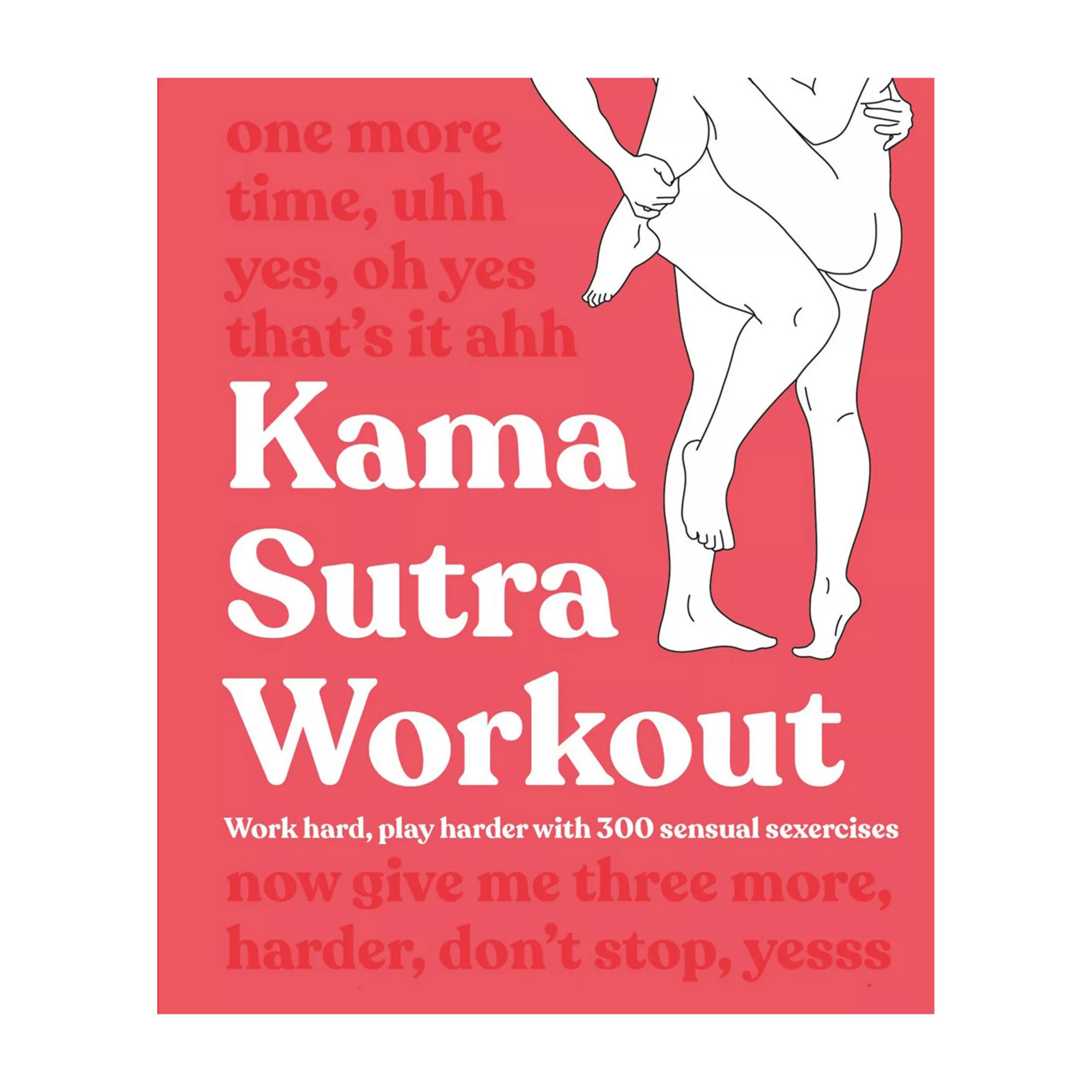 Kama Sutra Workout Book at Spencer's