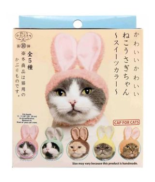 Cat Cap Blind Box