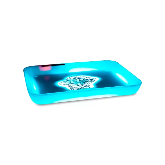 Mushroom LED Light-Up Tray at Spencer's