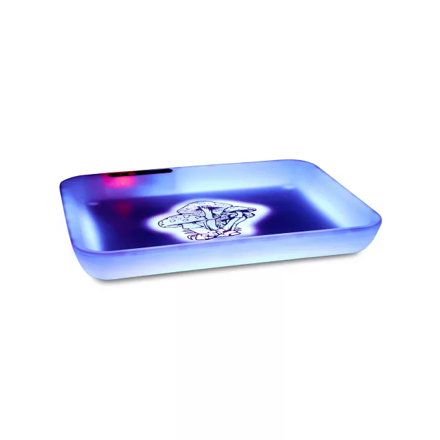 Mushroom LED Light-Up Tray at Spencer's