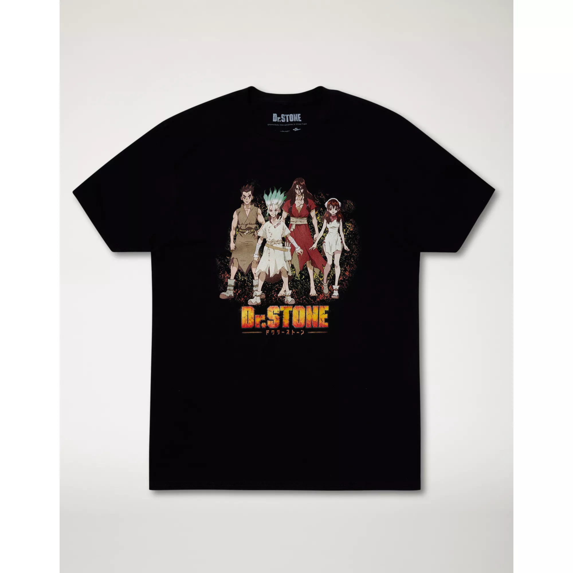 Dr. Stone Group T Shirt at Spencer's