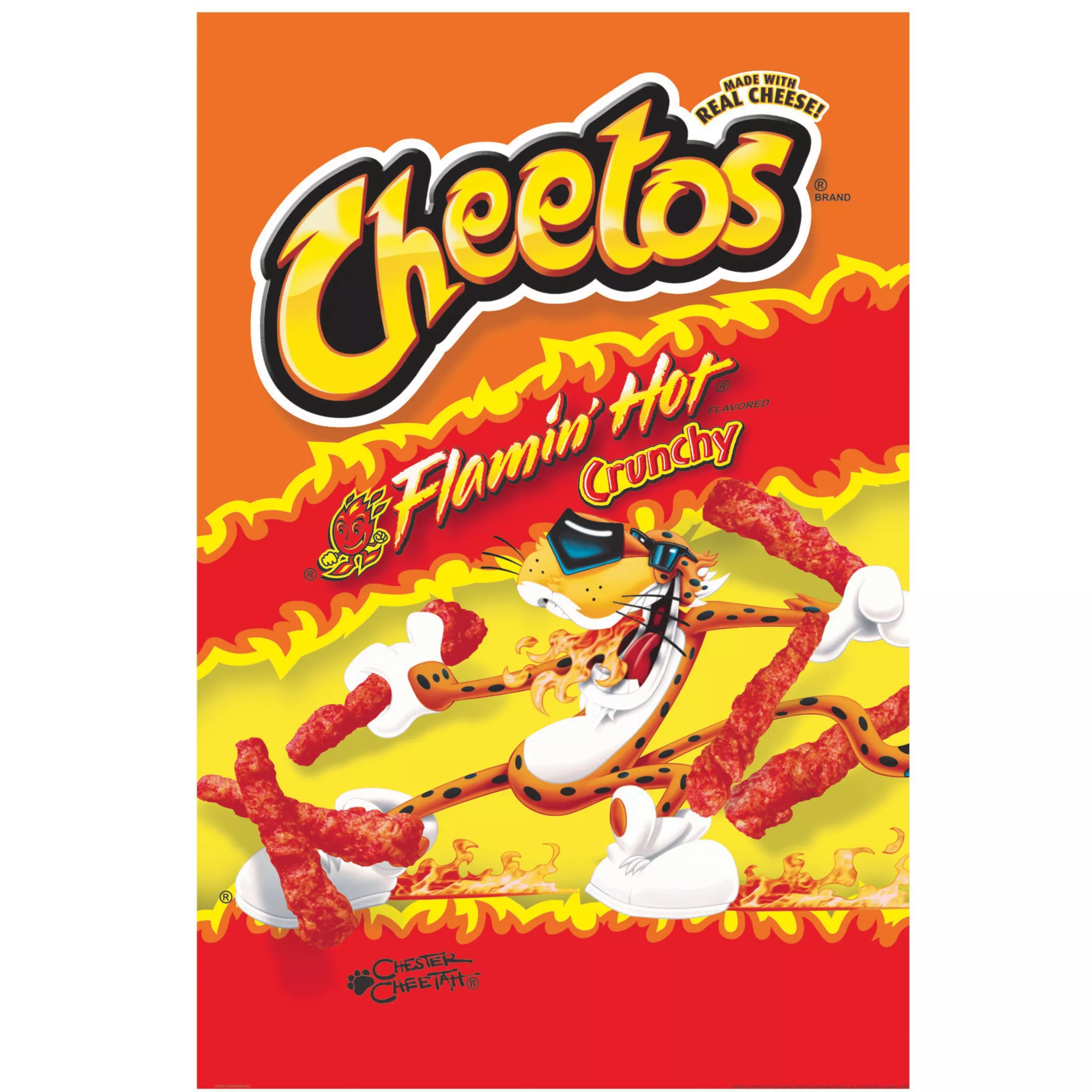 Flamin' Hot Cheetos Poster at Spencer's