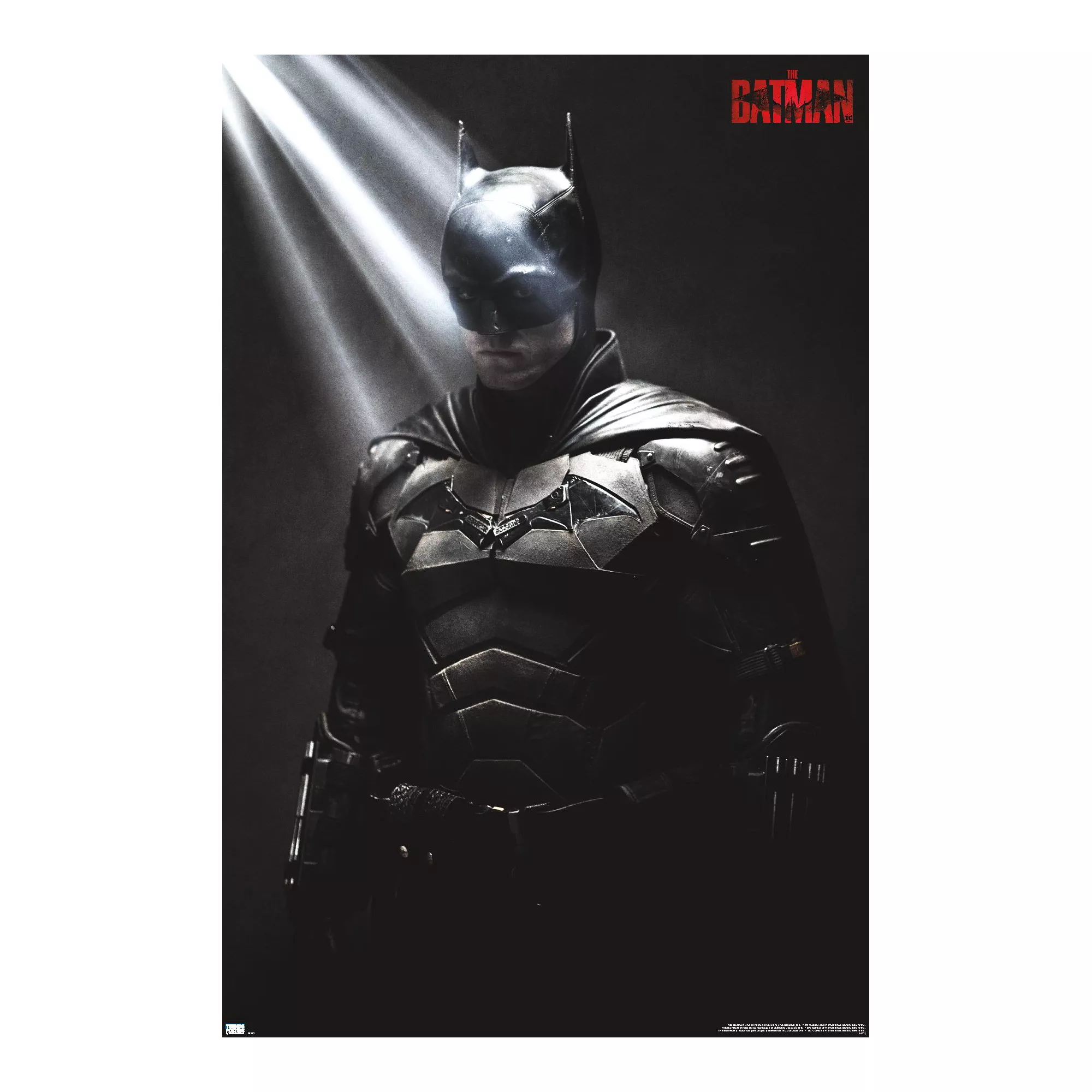 The Batman Poster at Spencer's