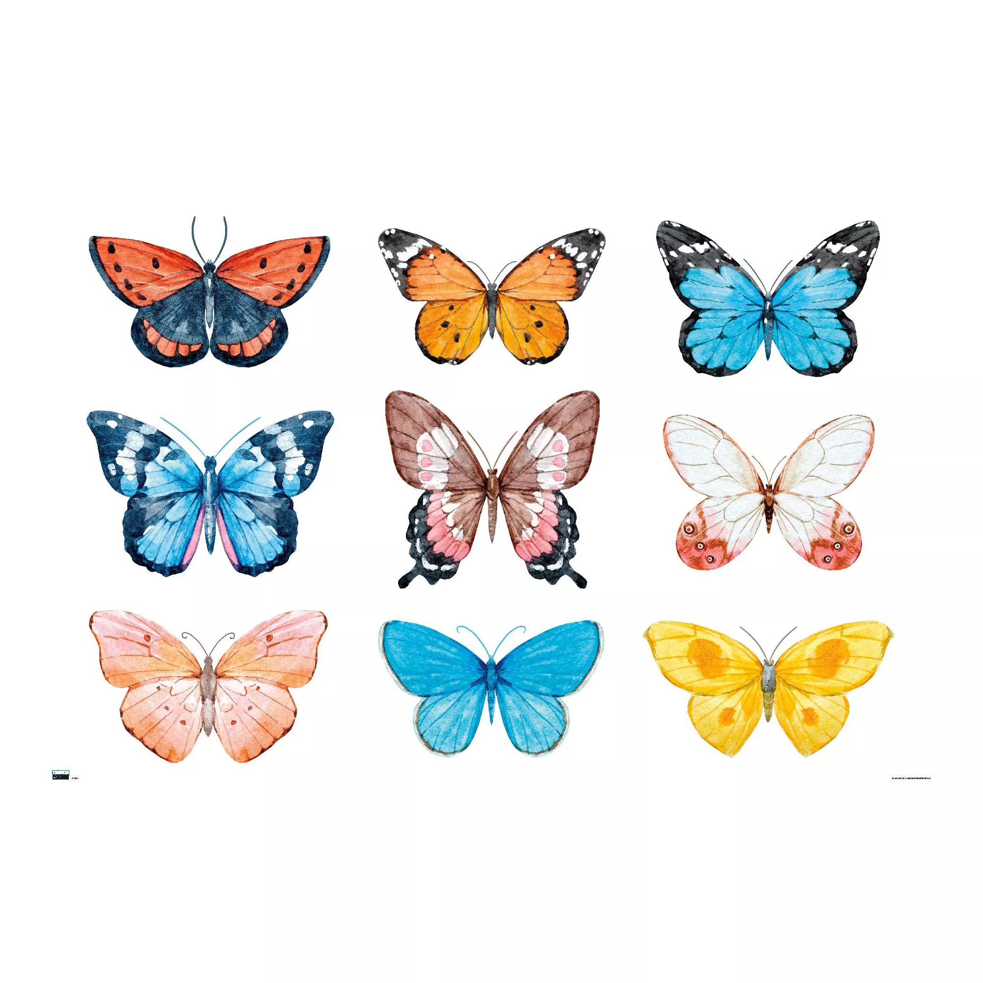 Watercolor Butterflies Poster at Spencer's