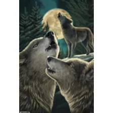 Howling Wolves Poster at Spencer's