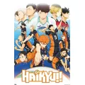 Volleyball Team Poster - Haikyu!! at Spencer's