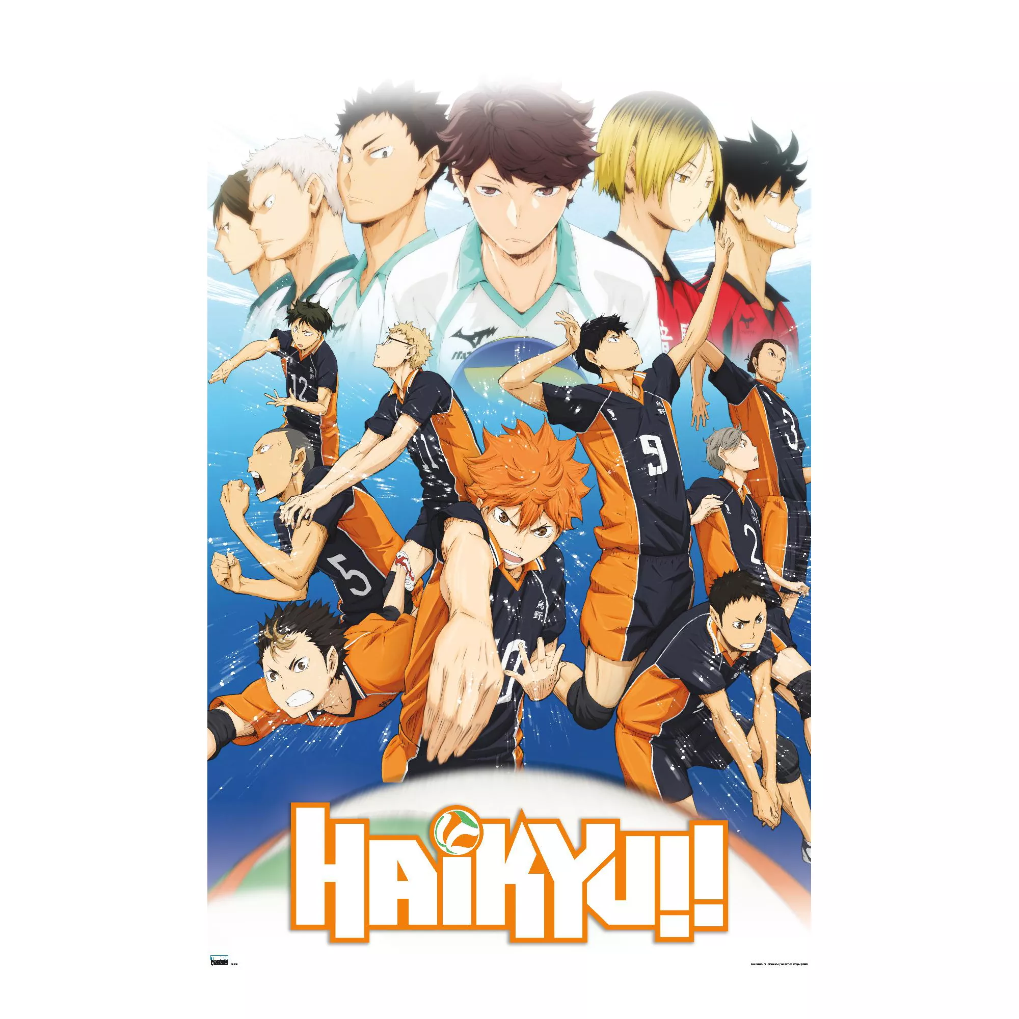 Volleyball Team Poster - Haikyu!! at Spencer's