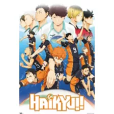 Volleyball Team Poster - Haikyu!! at Spencer's